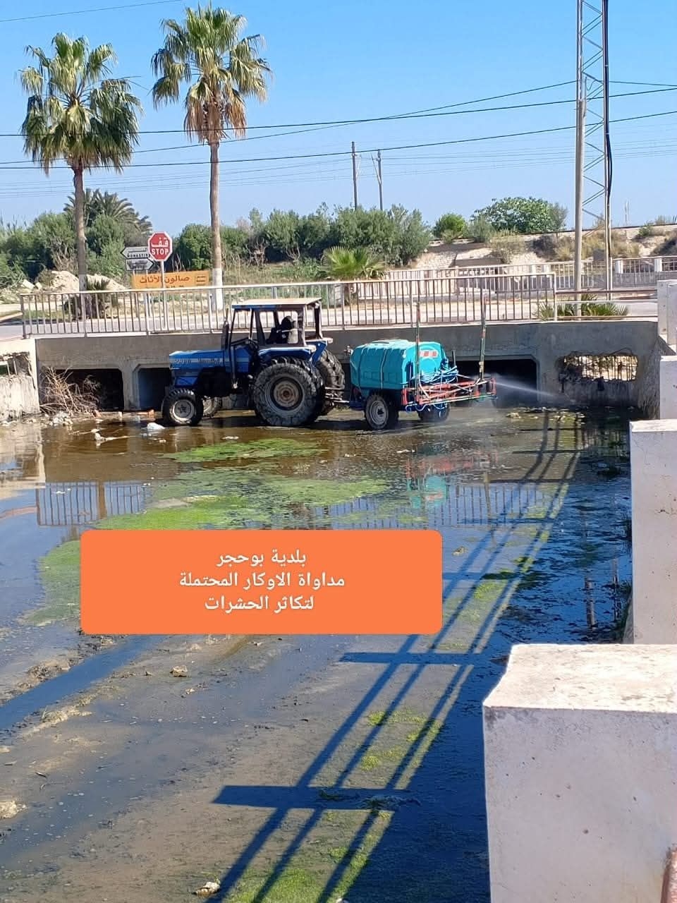 حملة جهوية لمقاومة الحشرات والعناية بالبيئة بالمنستير