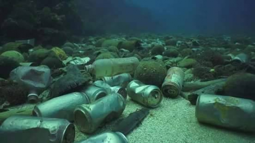 ?Les prochaines &eacute;pid&eacute;mies viendront-elles du plastique dans les oc&eacute;ans