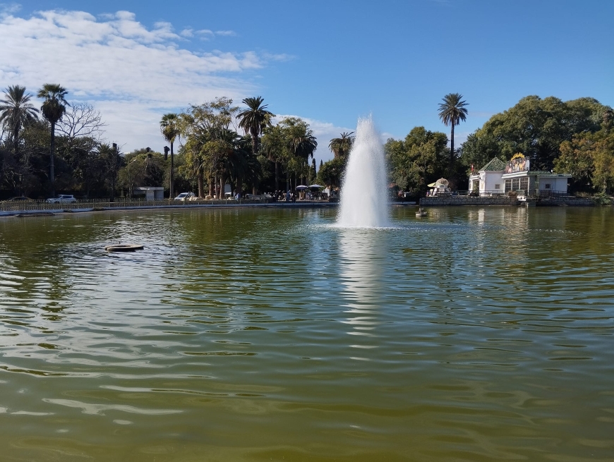 أمطار وضباب محلّي آخر الليل