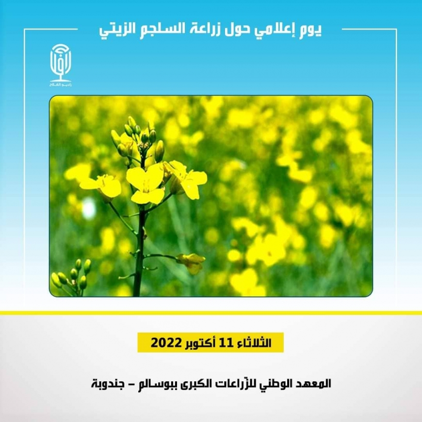 بوسالم:يوم اعلامي تحسيسي حول &quot;زراعة السلجم الزيتي&quot;
