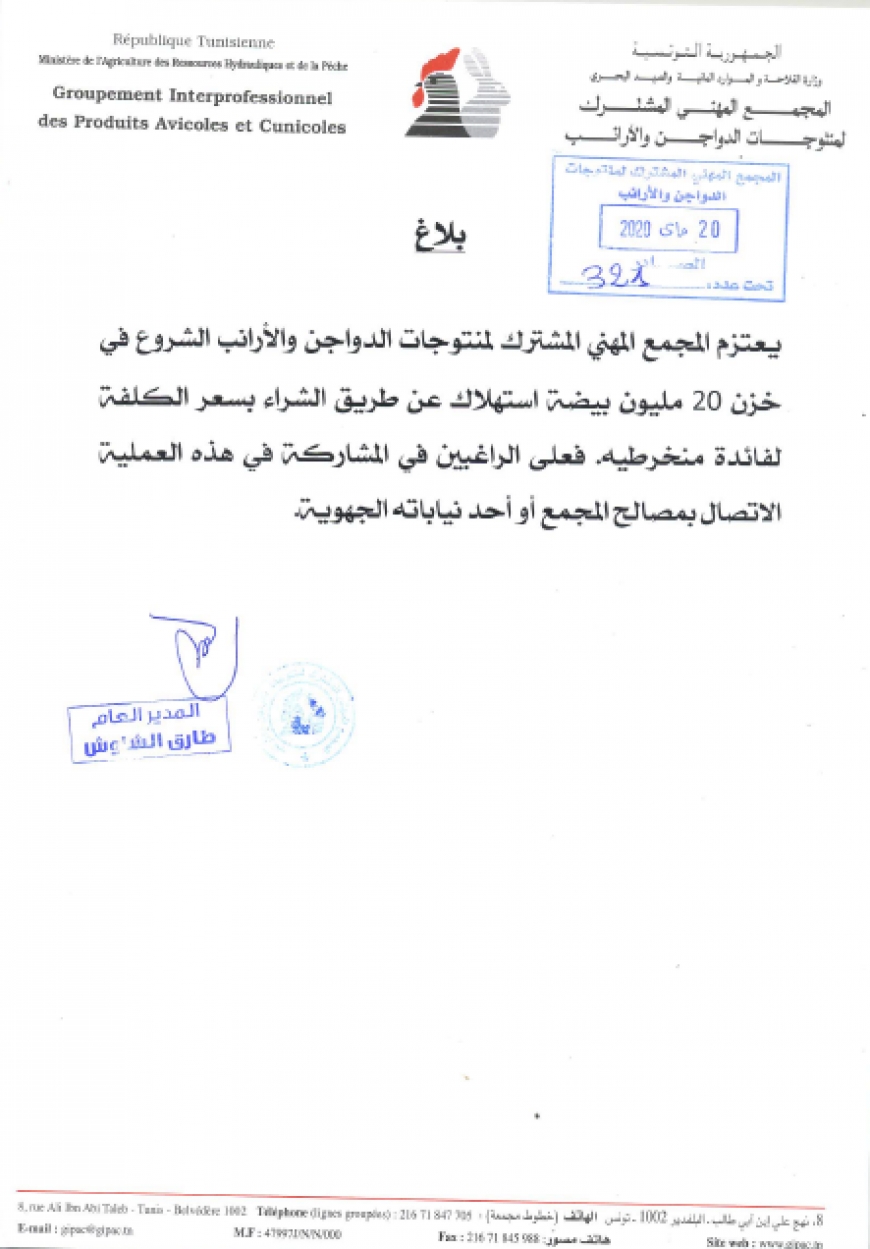 المجمع المهني المشترك لمنتوجات الدواجن والأرانب يشرع في خزن 20 مليون بيضة