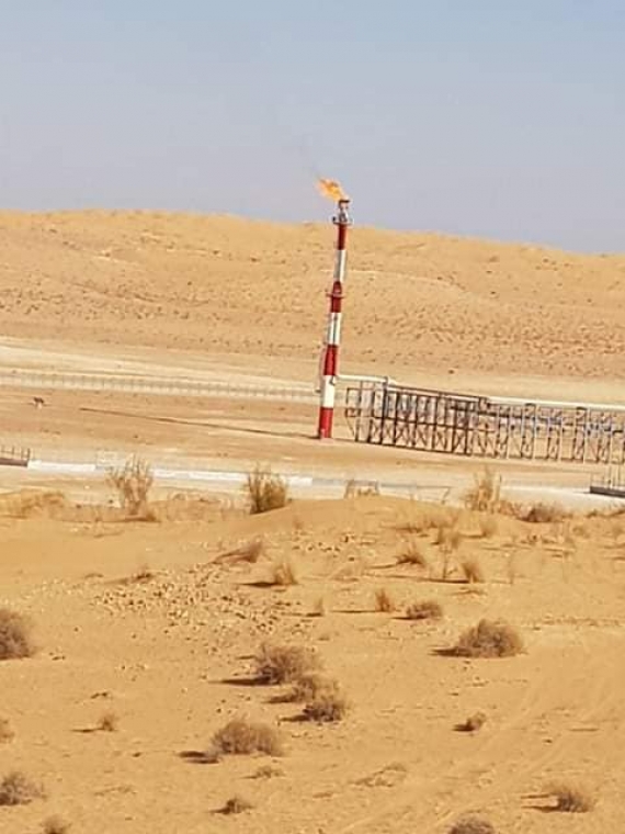 دخول حقل نوارة حيز الانتاج