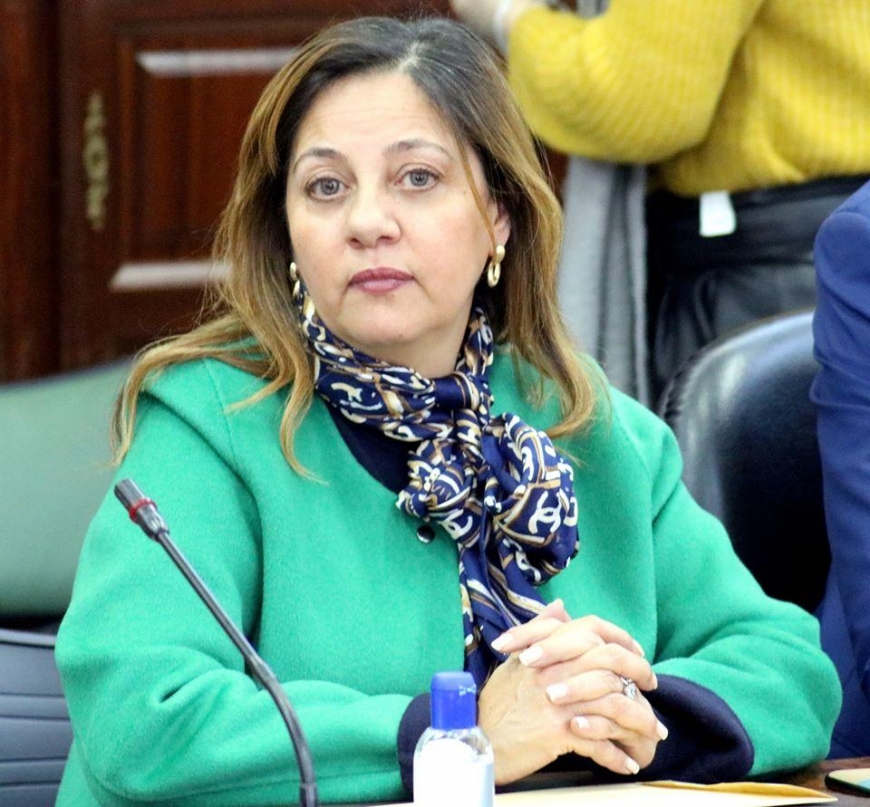 Initiative pour aider les Tunisiens en France : la D&eacute;put&eacute;e de Qalb Tounes Lilia Belli met en place 3 cellules de crise